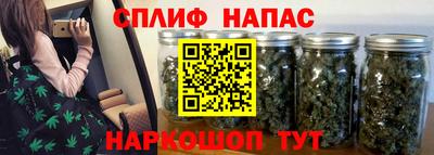 бошки Пенза